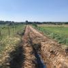 Travaux renfo rural Baillargues 11.05.20 (1)