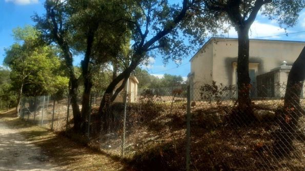 Débrousssaillage Bérange Nord 07.2021 (23)